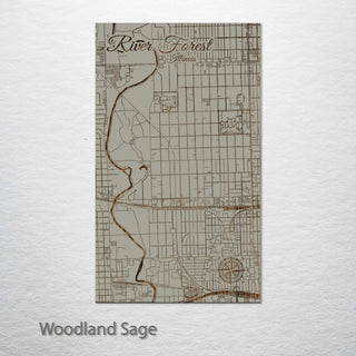 River Forest, Illinois Street Map