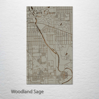 River Grove, Illinois Street Map
