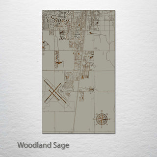 Savoy, Illinois Street Map