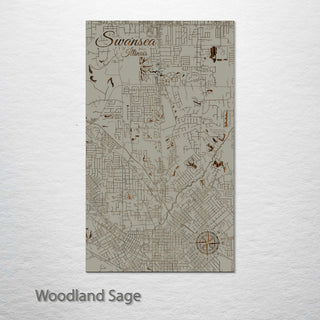 Swansea, Illinois Street Map