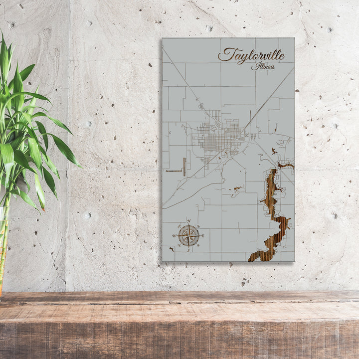 Taylorville, Illinois Street Map