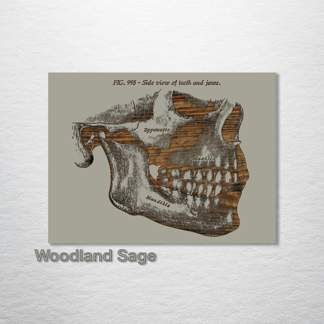 Gray’s Side Jaw - Fire & Pine