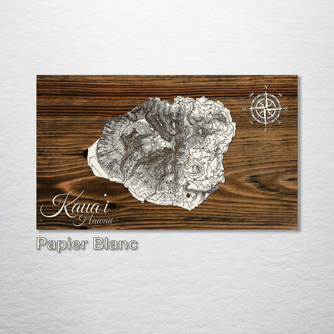 Kaua’i, Hawaii Topographical Map - Fire & Pine