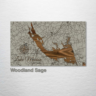 Lake Marion, South Carolina Street Map - Fire & Pine