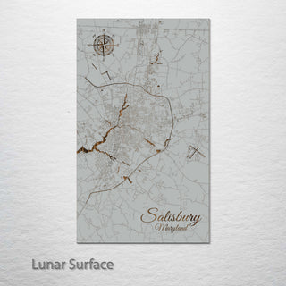 Salisbury, Maryland Street Map