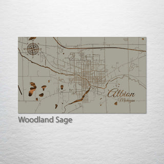 Albion, Michigan Street Map