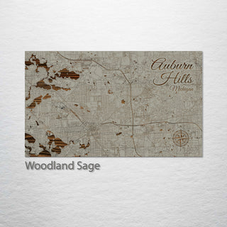 Auburn Hills, Michigan Street Map