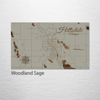 Hillsdale, Michigan Street Map