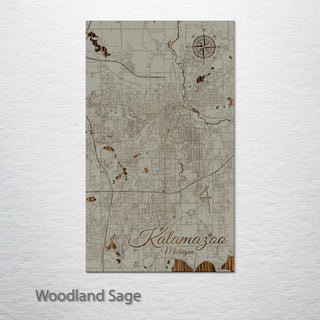 Kalamazoo, Michigan Street Map
