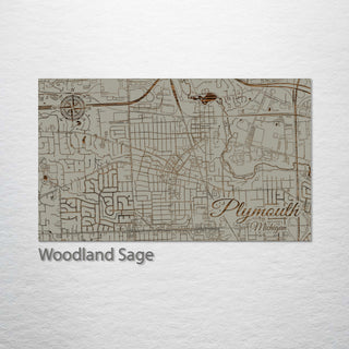 Plymouth, Michigan Street Map