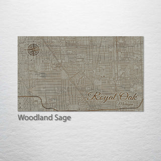 Royal Oak, Michigan Street Map