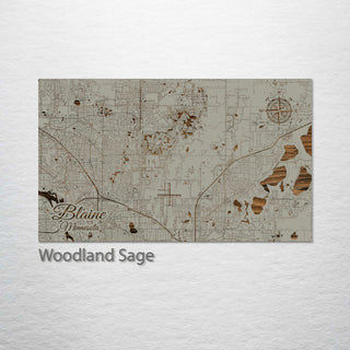 Blaine, Minnesota Street Map