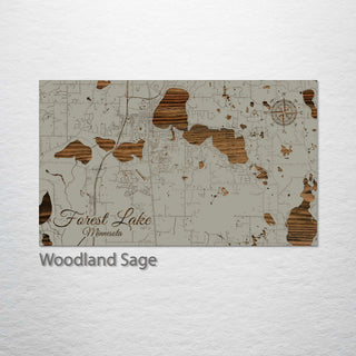 Forest Lake, Minnesota Street Map