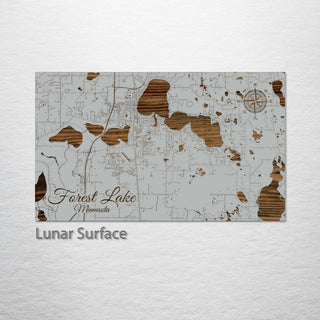 Forest Lake, Minnesota Street Map