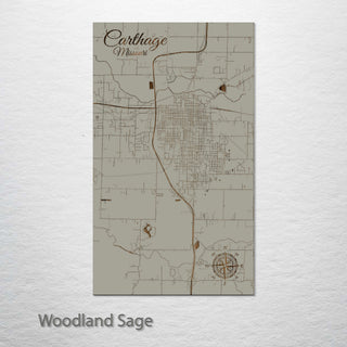 Carthage, Missouri Street Map