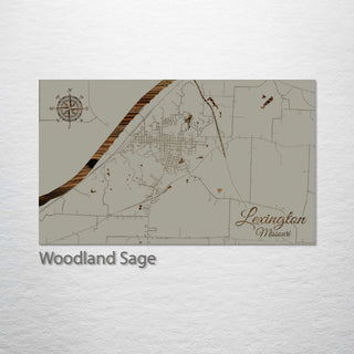 Lexington, Missouri Street Map