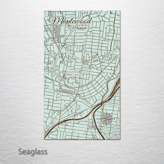 Maplewood, Missouri Street Map