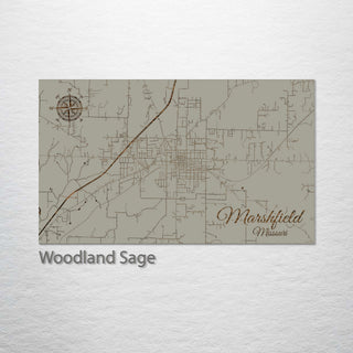Marshfield, Missouri Street Map
