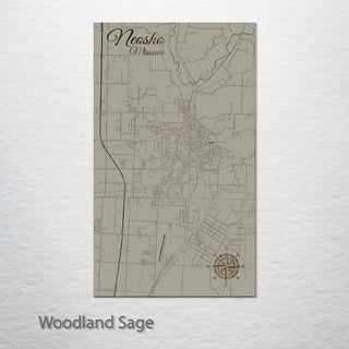 Neosho, Missouri Street Map