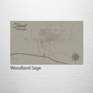 Forest, Mississippi Street Map