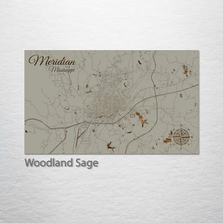Meridian, Mississippi Street Map