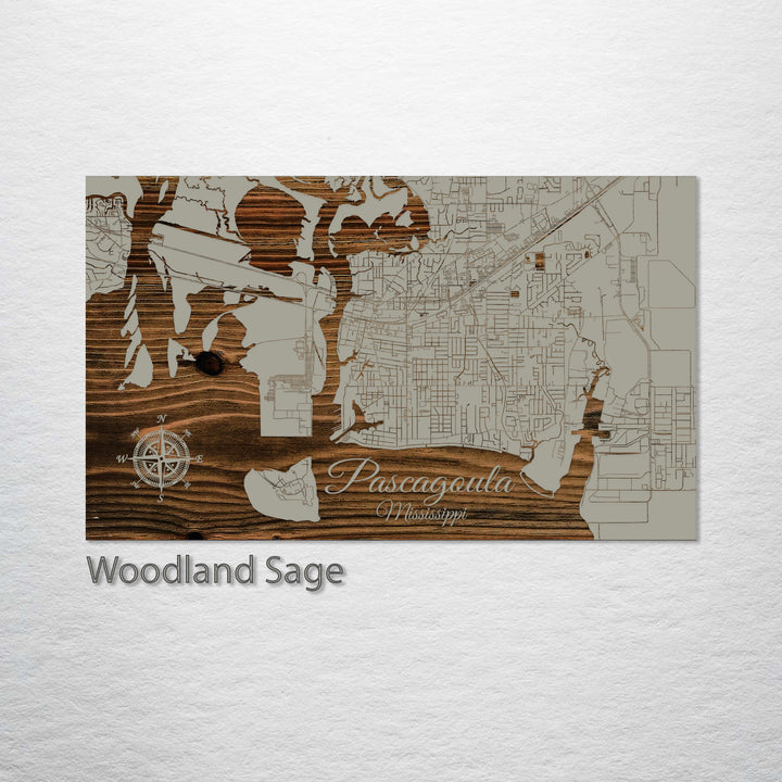 Pascagoula, Mississippi Street Map