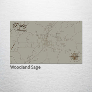 Ripley, Mississippi Street Map