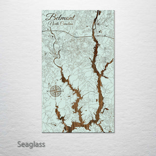 Belmont, North Carolina Street Map