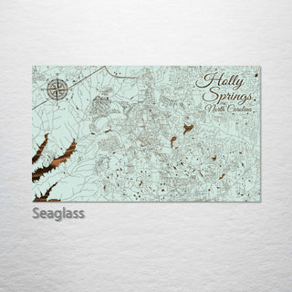 Holly Springs, North Carolina Street Map