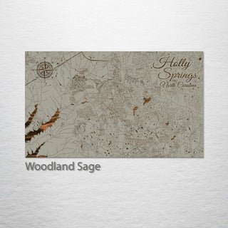 Holly Springs, North Carolina Street Map