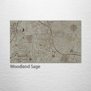 Pineville, North Carolina Street Map