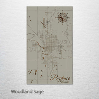 Beatrice, Nebraska Street Map