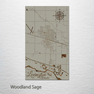Lexington, Nebraska Street Map