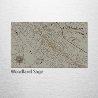 Madison, New Jersey Street Map