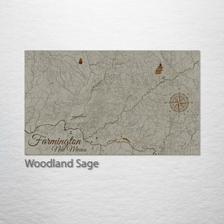 Farmington, New Mexico Street Map