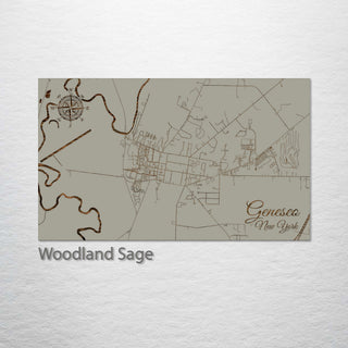 Geneseo, New York Street Map