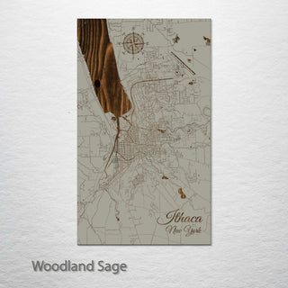 Ithaca, New York Street Map