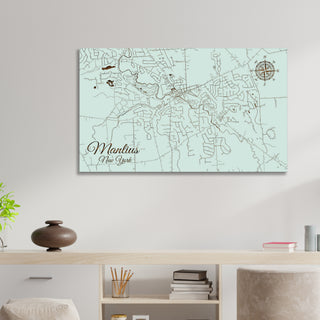 Manlius, New York Street Map
