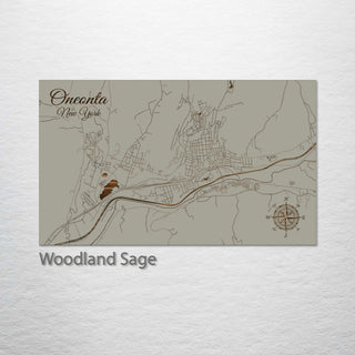Oneonta, New York Street Map