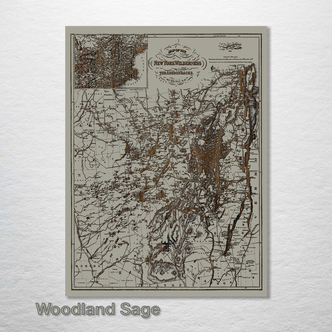 New York Wilderness and the Adirondacks 1879 Map - Fire & Pine