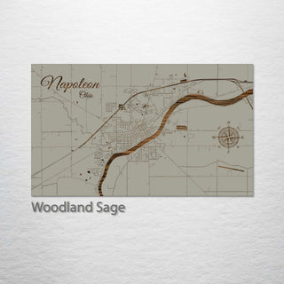 Napoleon, Ohio Street Map