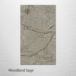 Norwood, Ohio Street Map
