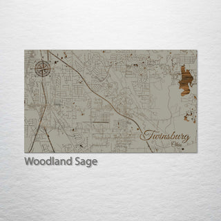 Twinsburg, Ohio Street Map
