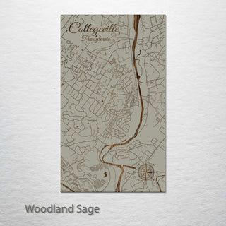 Collegeville, Pennsylvania Street Map