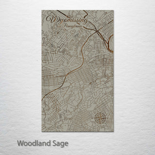 Wyomissing, Pennsylvania Street Map