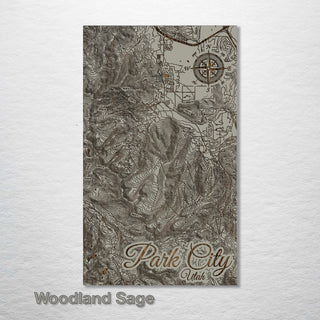 Park City, UT Topo Map (MI-SM)