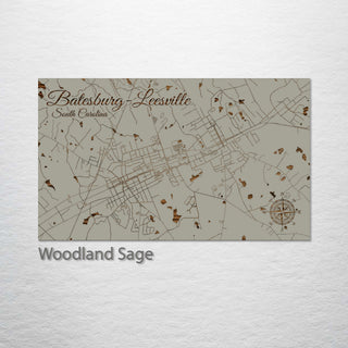 Batesburg-Leesville, South Carolina Street Map