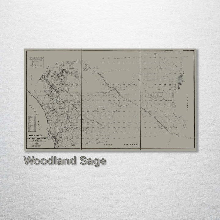 San Diego County Map 1889 - Fire & Pine