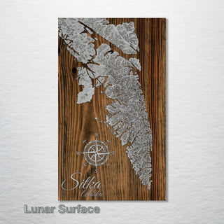 Sitka, Alaska Topo Map - Fire & Pine