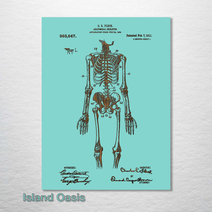 1911 Anatomical Skeleton Patent - Fire & Pine